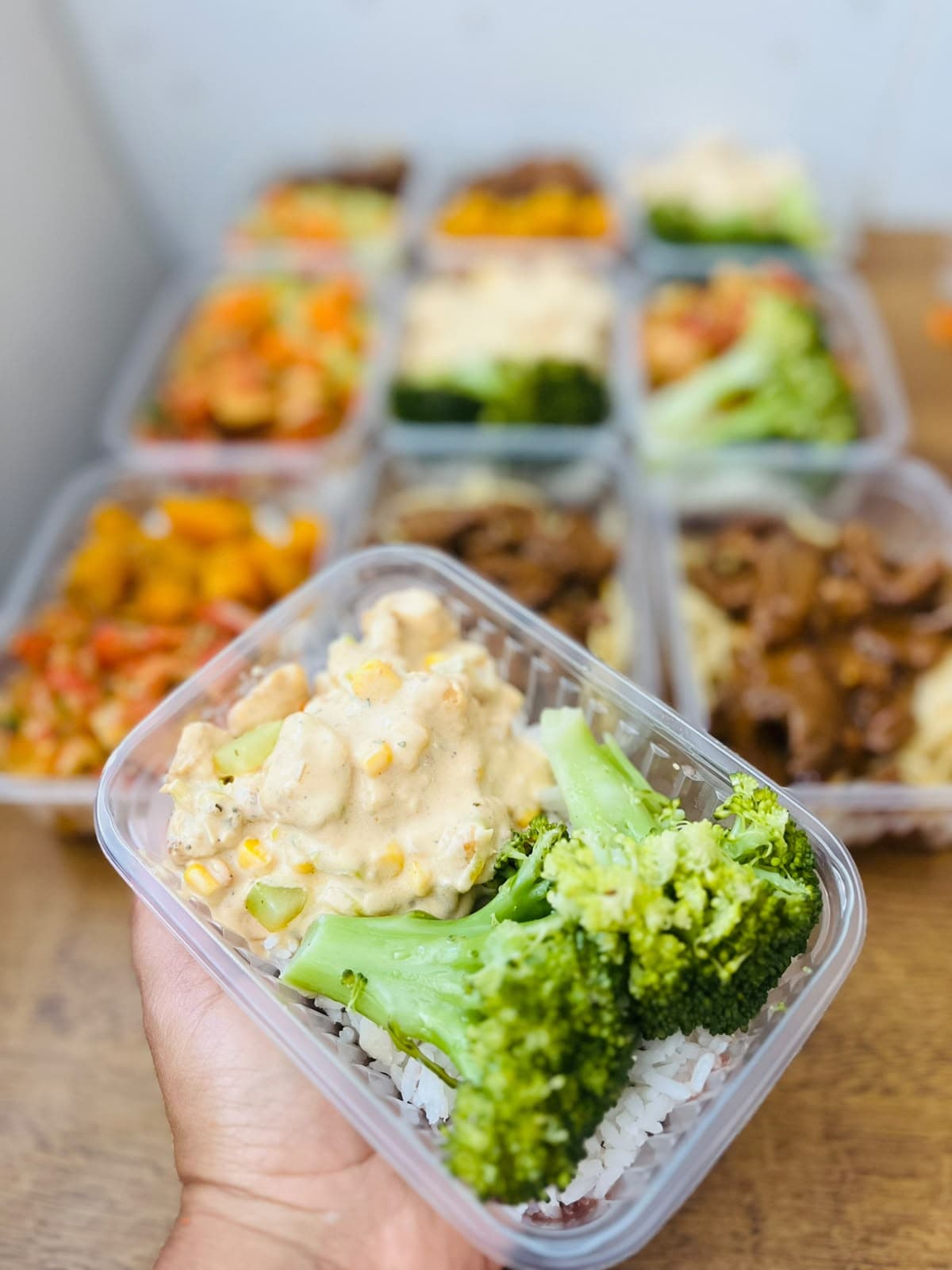 Foto de MARMITA FIT STROGONOFF DE FRANGO COM BRÓCOLIS — Manu Felizardo